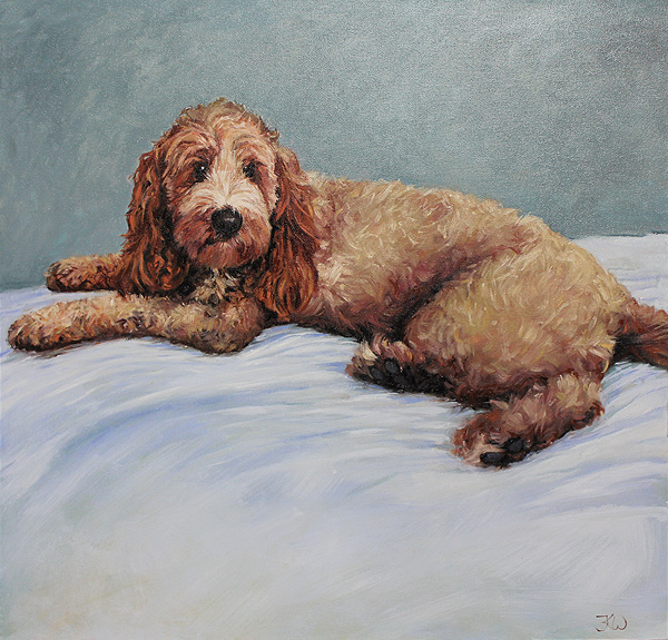 Animal Portraits - Dog Portrait In Oil - Commission of a Spoodle portrait