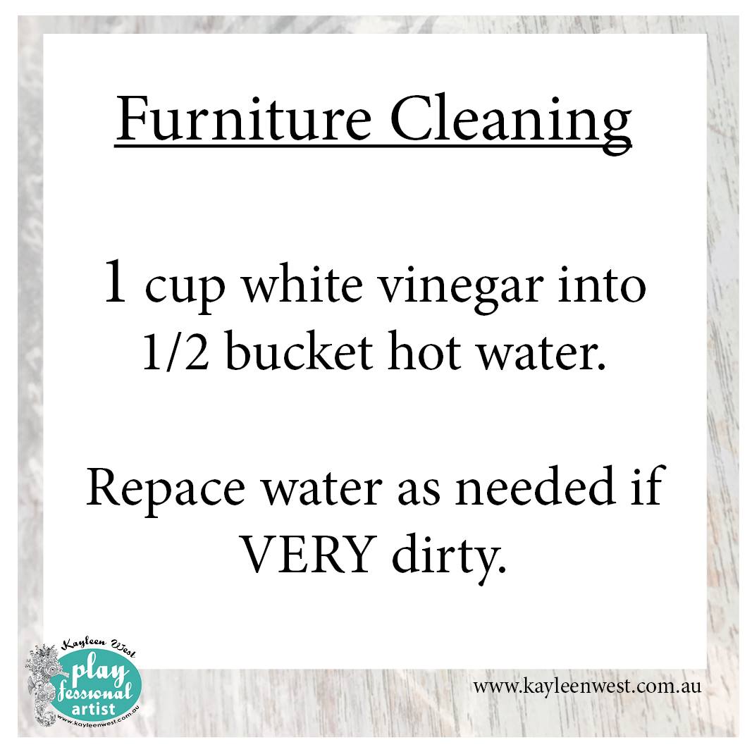 CLEANING FURNITURE – PAINTING PREP & HEALTH